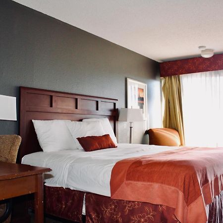 La Vista Inn Port Richey Dış mekan fotoğraf